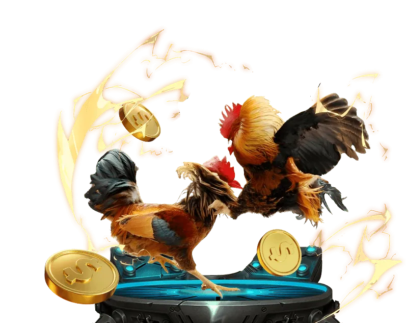 Hoàn trả hàng ngày/tuần vui88